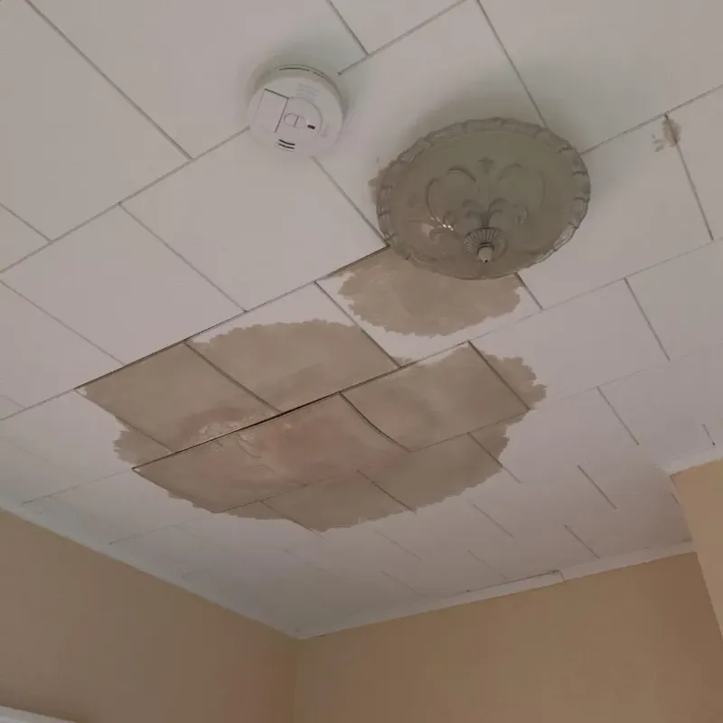 Ceiling Water Damage Repair in Bridge City, LA