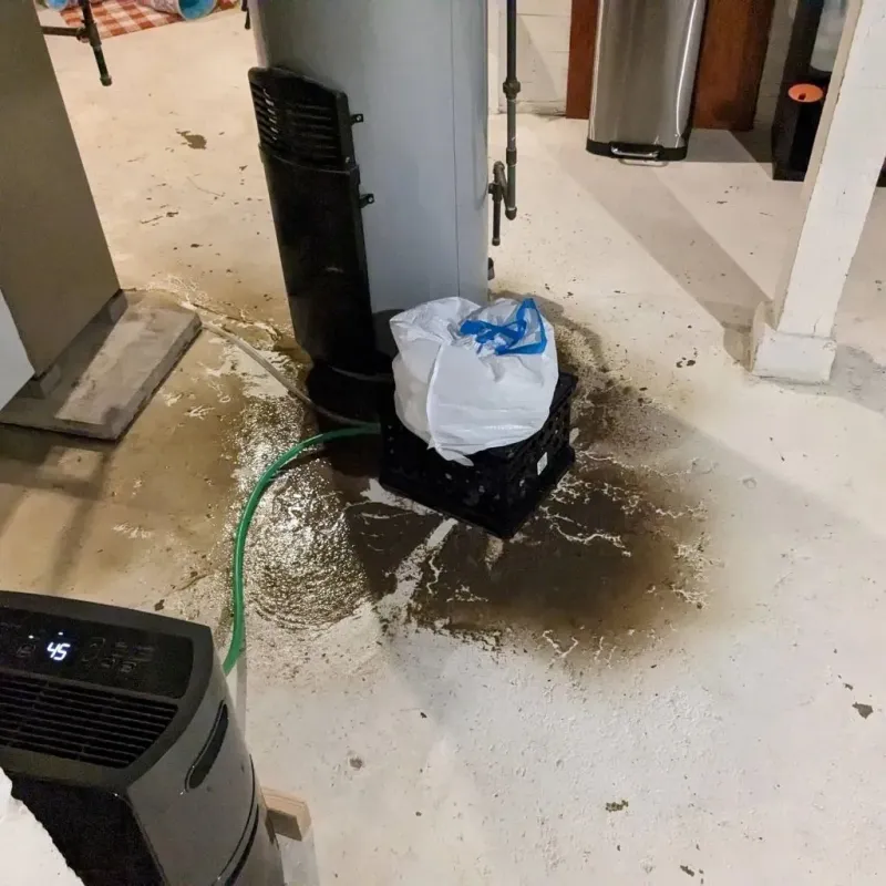 Sewage Backup Cleanup Service in Bridge City, LA